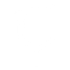 The Icon