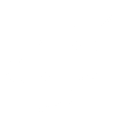 The Oar