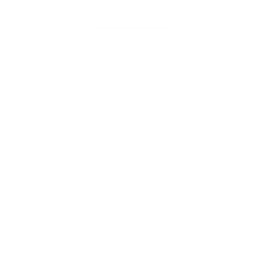 The Pickleball Paddle